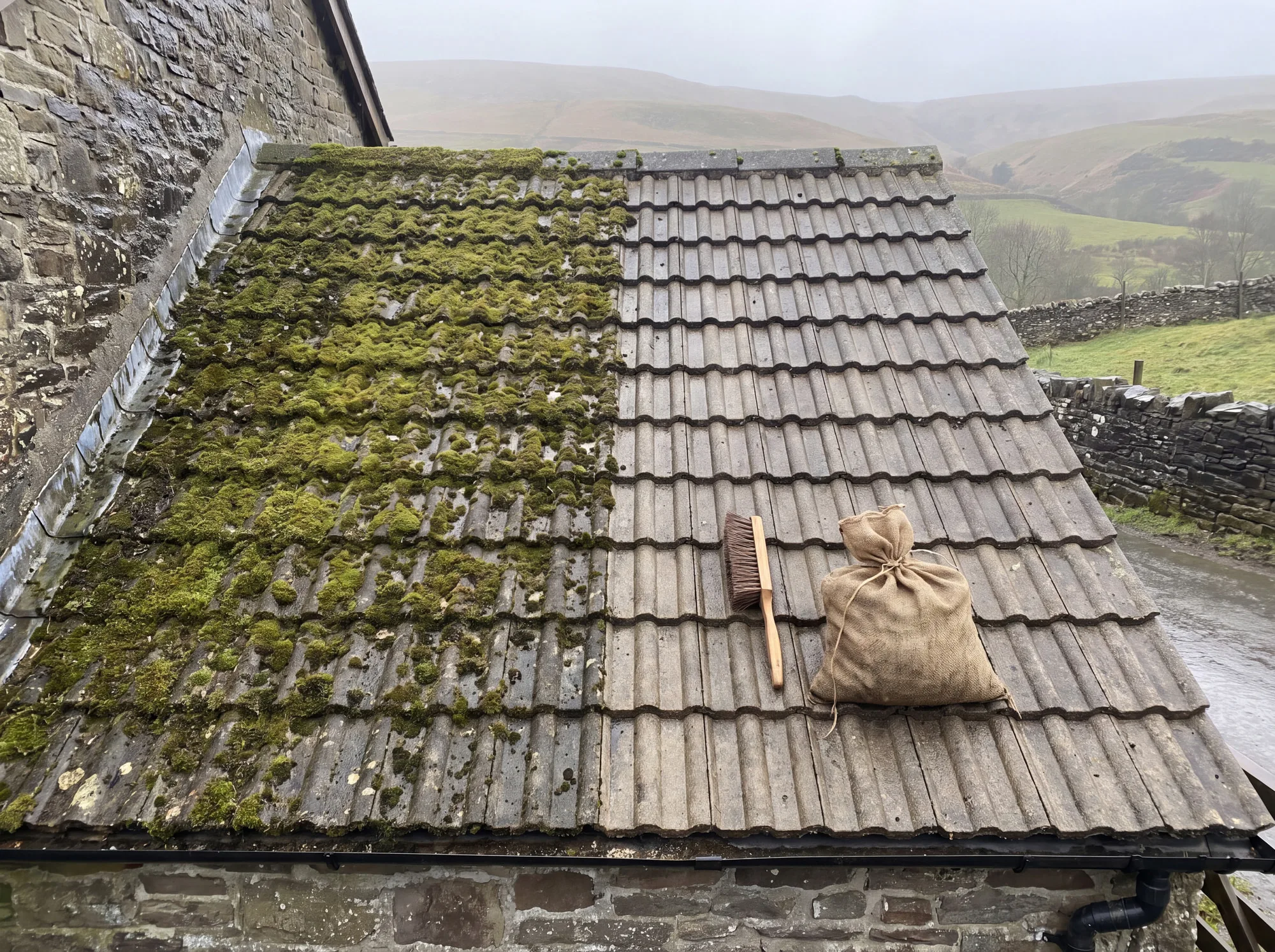 A tiled roof half cleared of moss by hand, showing the difference